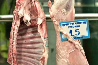 Παράνομες ελληνοποιήσεις για το 35% των αμνοεριφίων